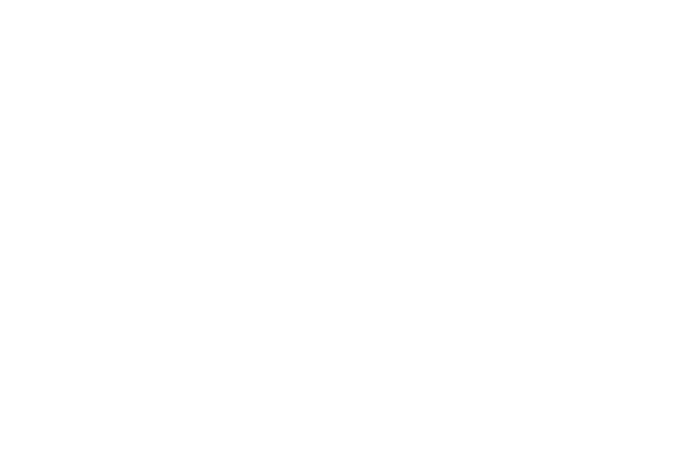 logo blastness